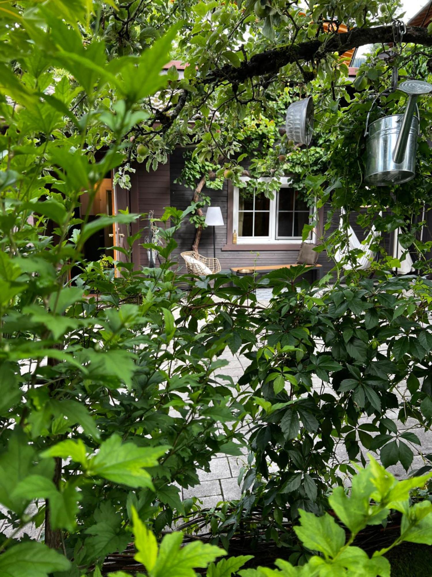 Tini House Villa Wagrain Buitenkant foto